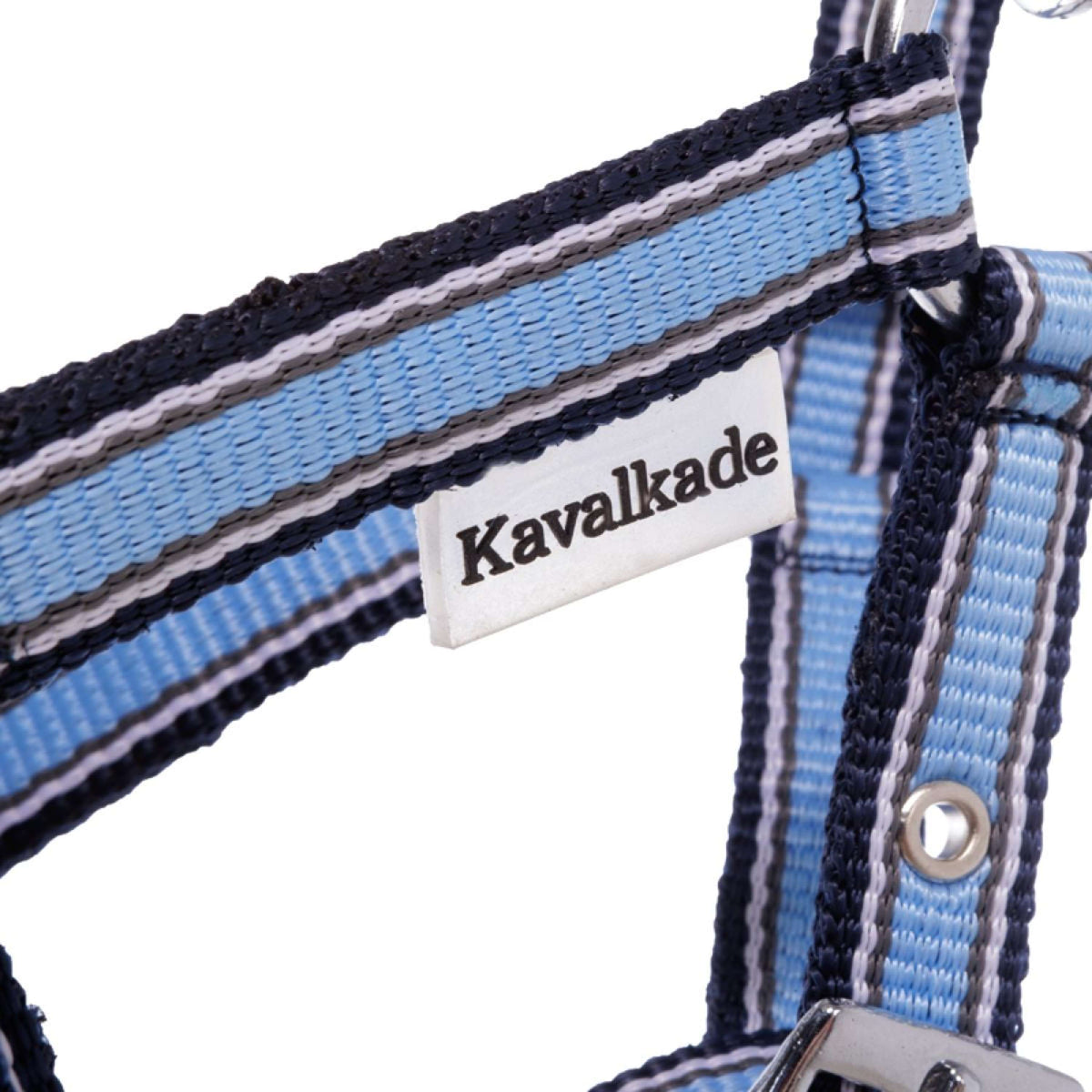 Kavalkade Halster Foal/Yearling Lichtblauw/Navy/Wit