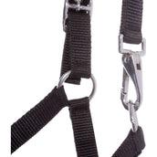 Kavalkade Veulen en Jaarlinghalster Blauw