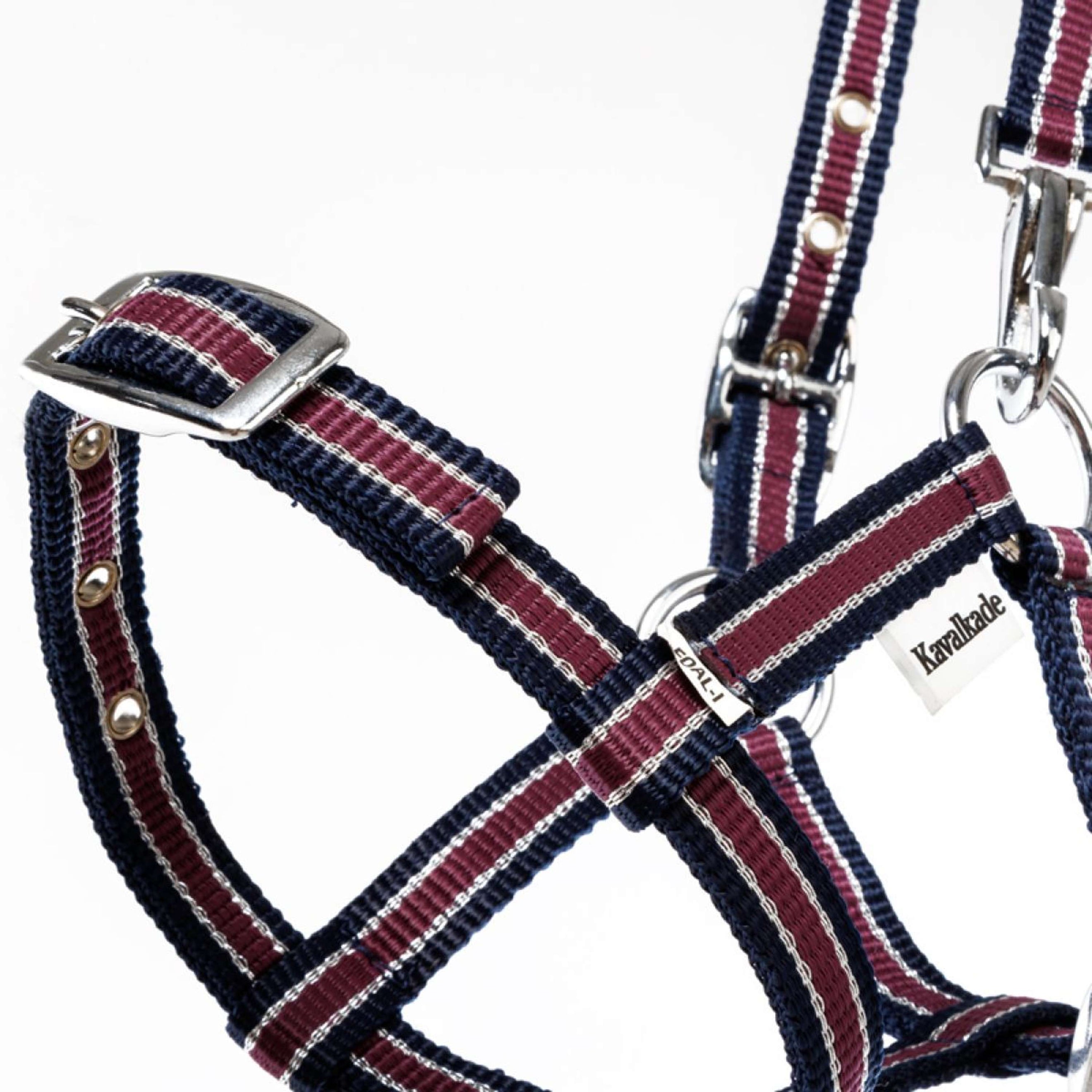 Kavalkade Halster Foal/Yearling Navy/Bordeaux/Zilver