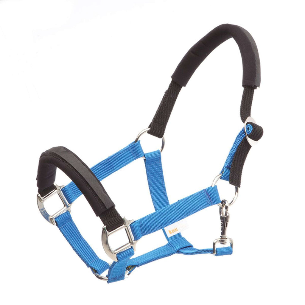 Kavalkade Halster KavalLastic Turquoise