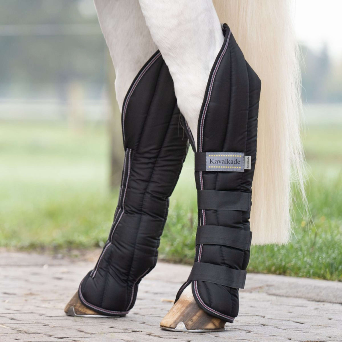 Kavalkade Transportbeschermers Zwart