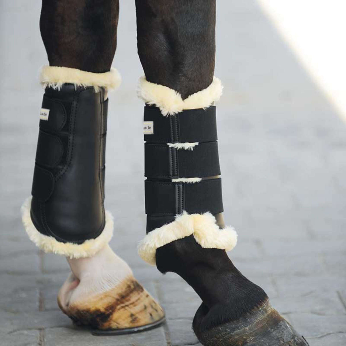 Kavalkade Dressage Boots Show Zwart