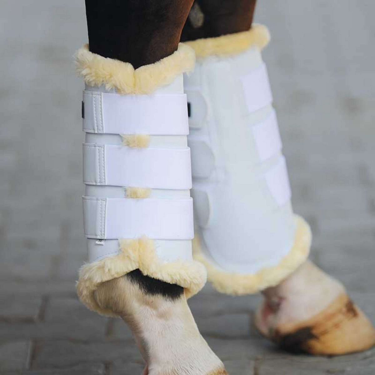 Kavalkade Dressage Boots Show Kunstleder Wit