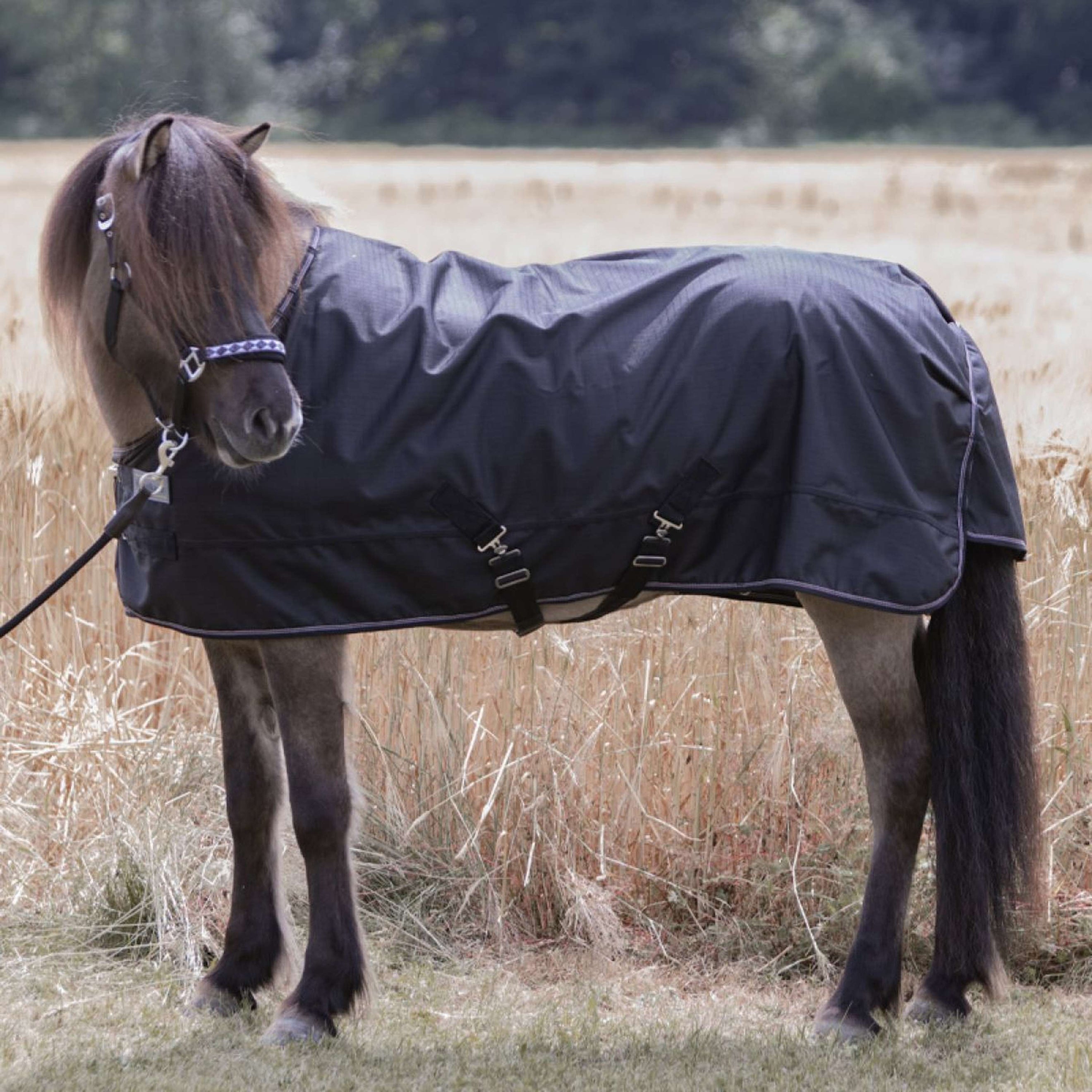 Kavalkade Outdoordeken Iceland 50g Zwart/Zwart/Bordeaux/Grijs