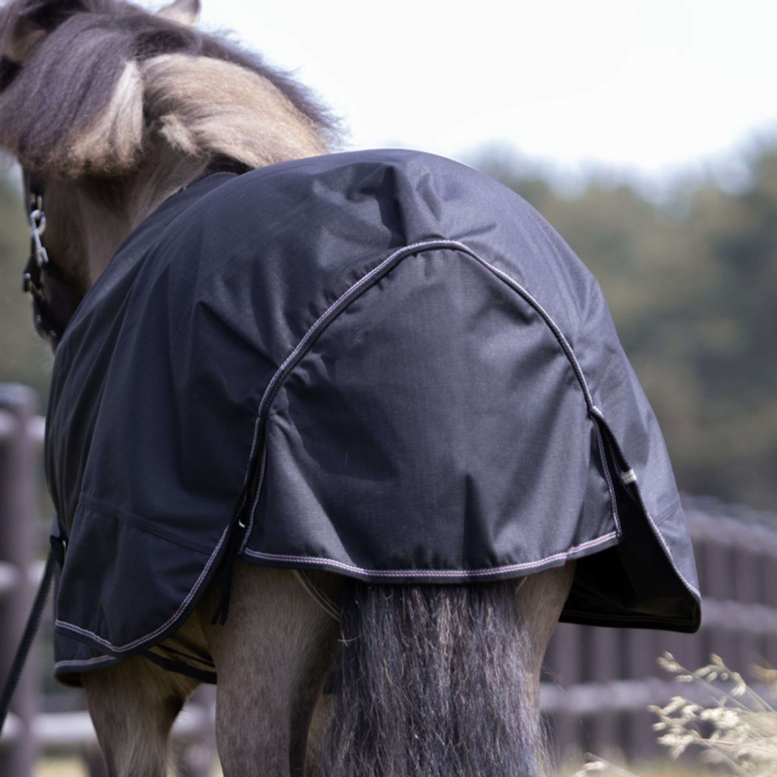 Kavalkade Outdoordeken Iceland 50g Zwart/Zwart/Bordeaux/Grijs