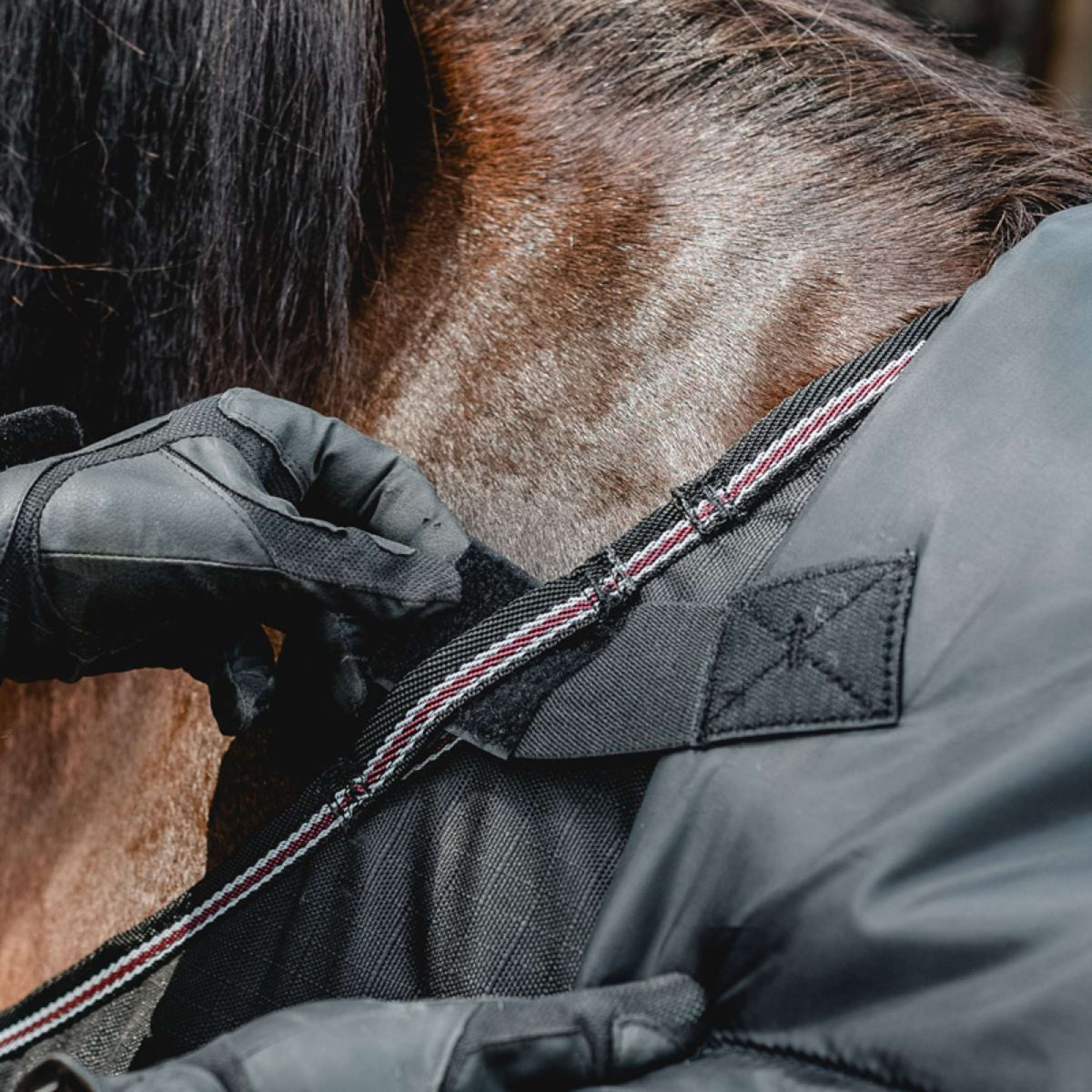 Kavalkade Halsstuk Iceland 50g Zwart/Zwart/Bordeaux/Grijs