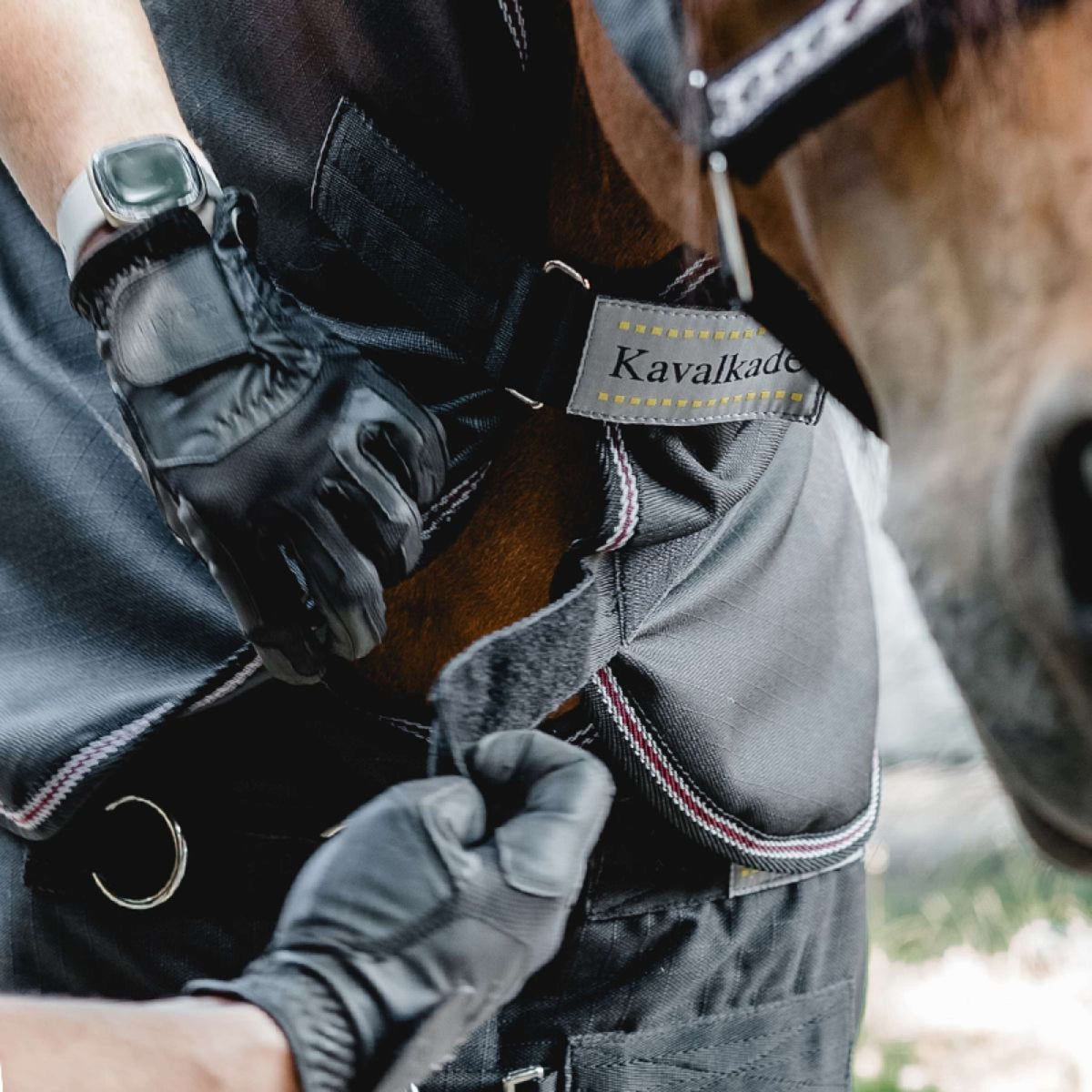 Kavalkade Halsstuk Iceland 50g Zwart/Zwart/Bordeaux/Grijs