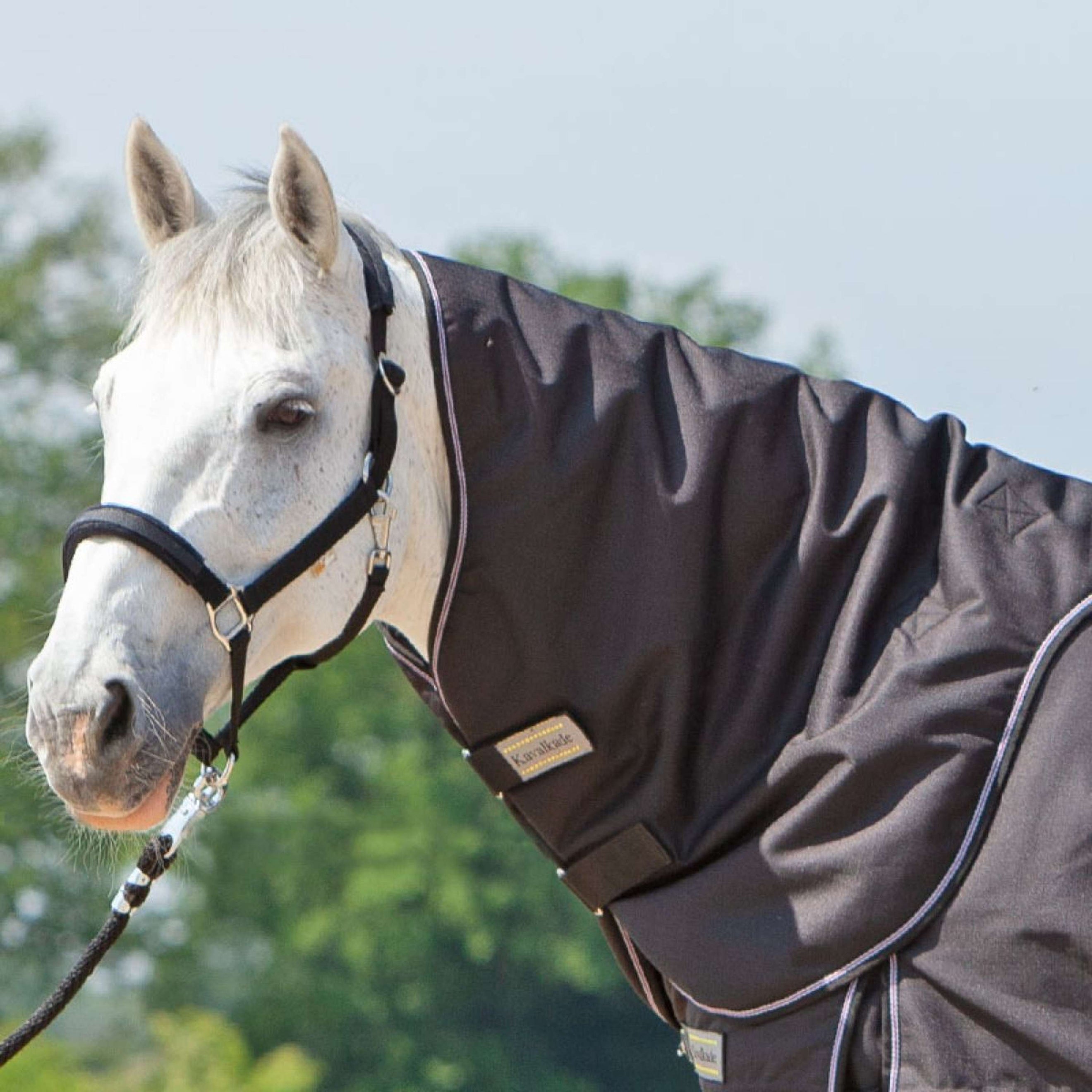 Kavalkade Halsstuk Alaska IV 100g Zwart