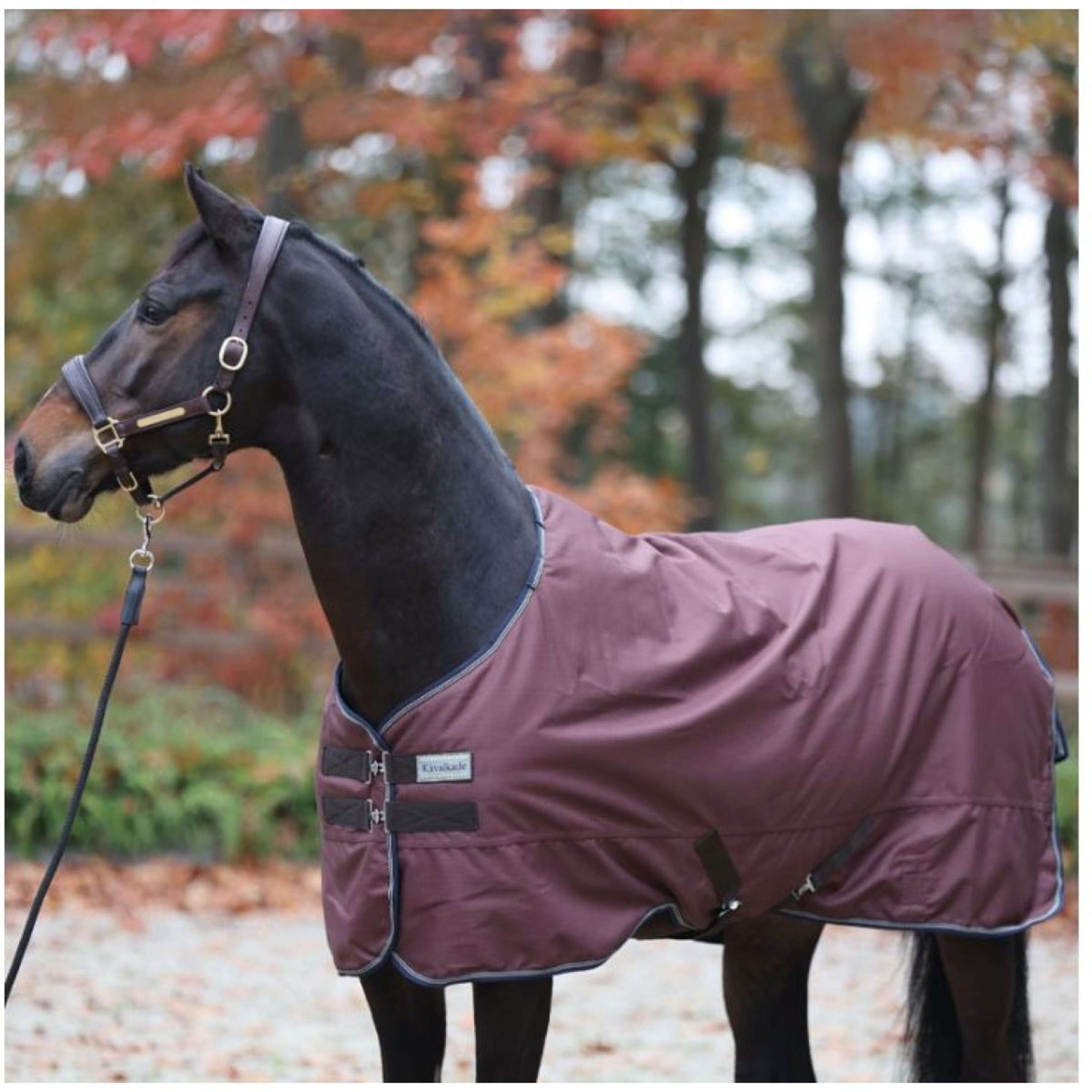 Kavalkade Outdoordeken Montreal 100g Navy