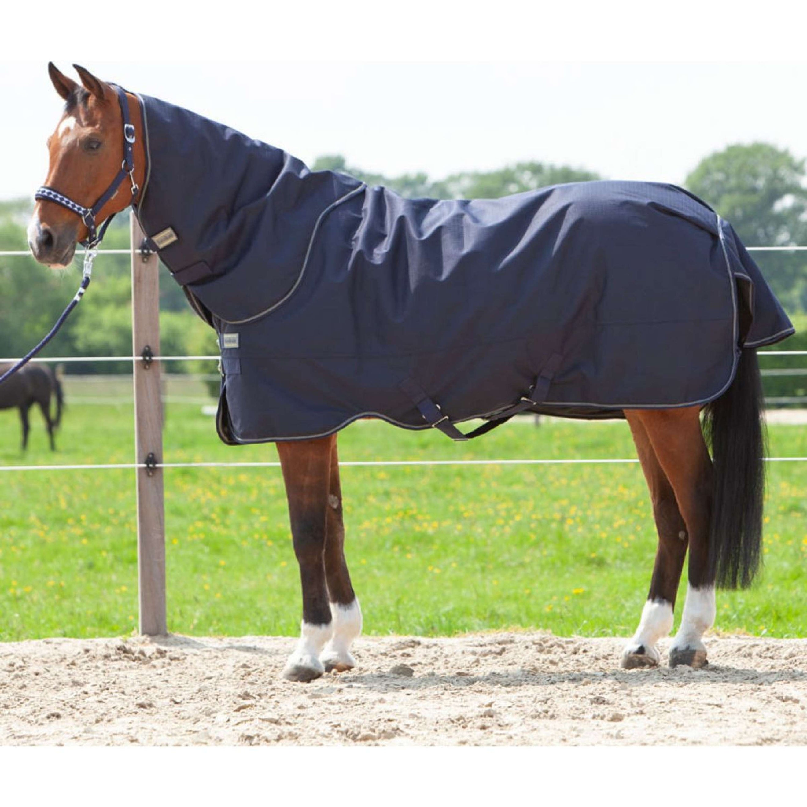 Kavalkade Halsstuk Montreal 100g Navy Kavalkade Halsstuk Montreal 100g Navy