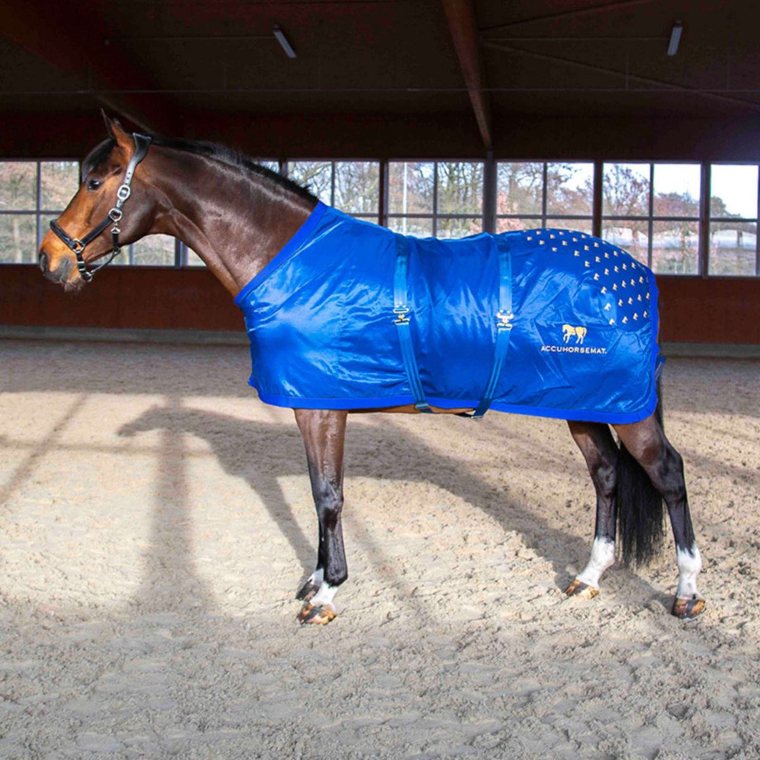 Accuhorsemat Deken Original met Accupressure Mat Blauw