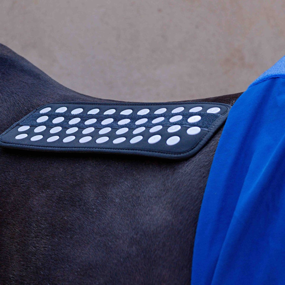 Accuhorsemat Deken Cooler met Accupressure Mat Blauw