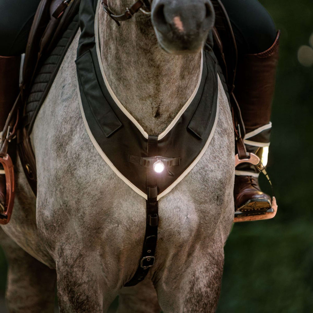 Kavalkade Borsttuig Horselight Zwart/Grijs