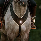 Kavalkade Borsttuig Horselight Zwart/Grijs