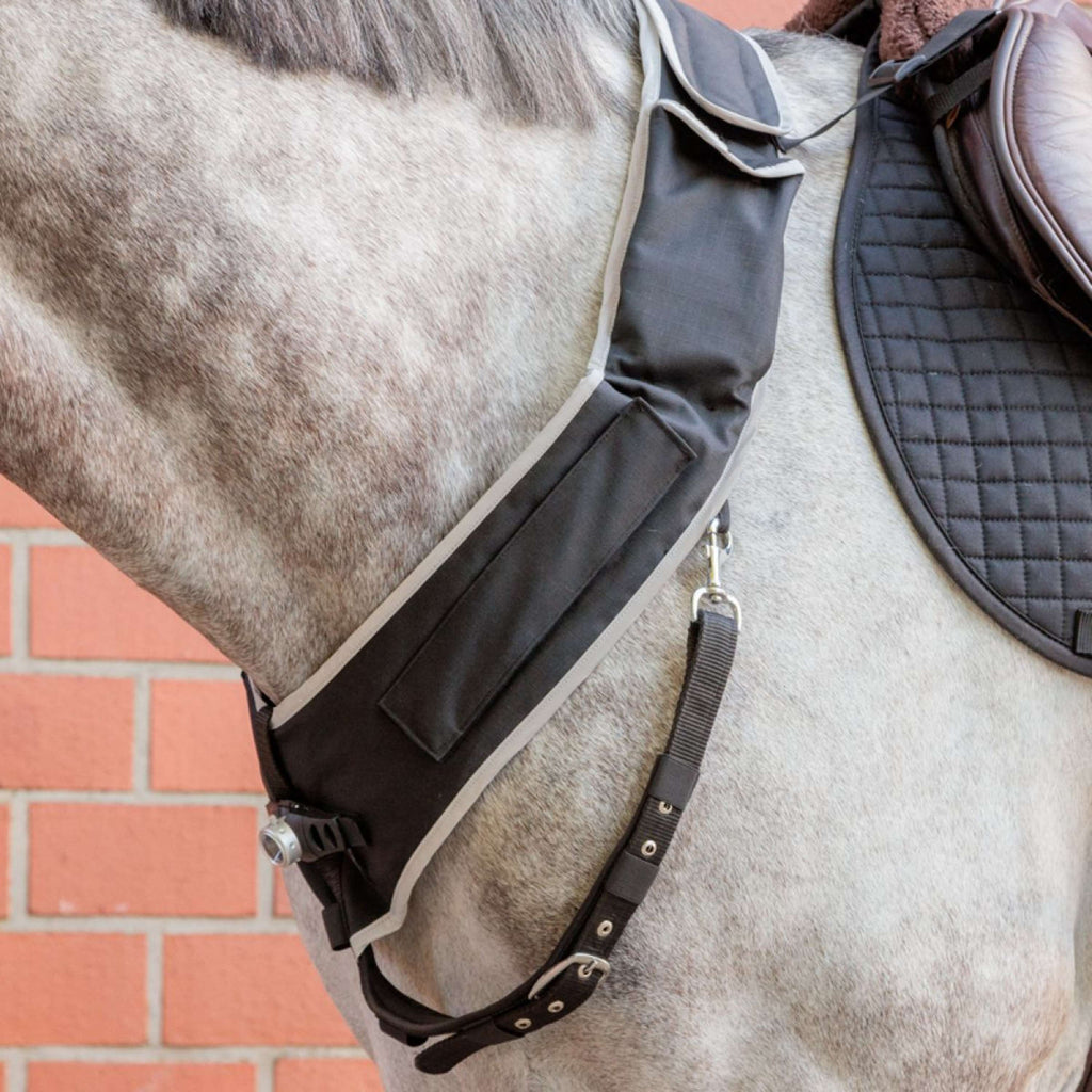 Kavalkade Borsttuig Horselight Zwart/Grijs