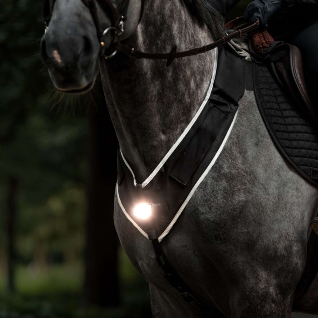Kavalkade Borsttuig Horselight Zwart/Grijs