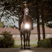 Kavalkade Borsttuig/Zadel Horselight Zwart/Grijs