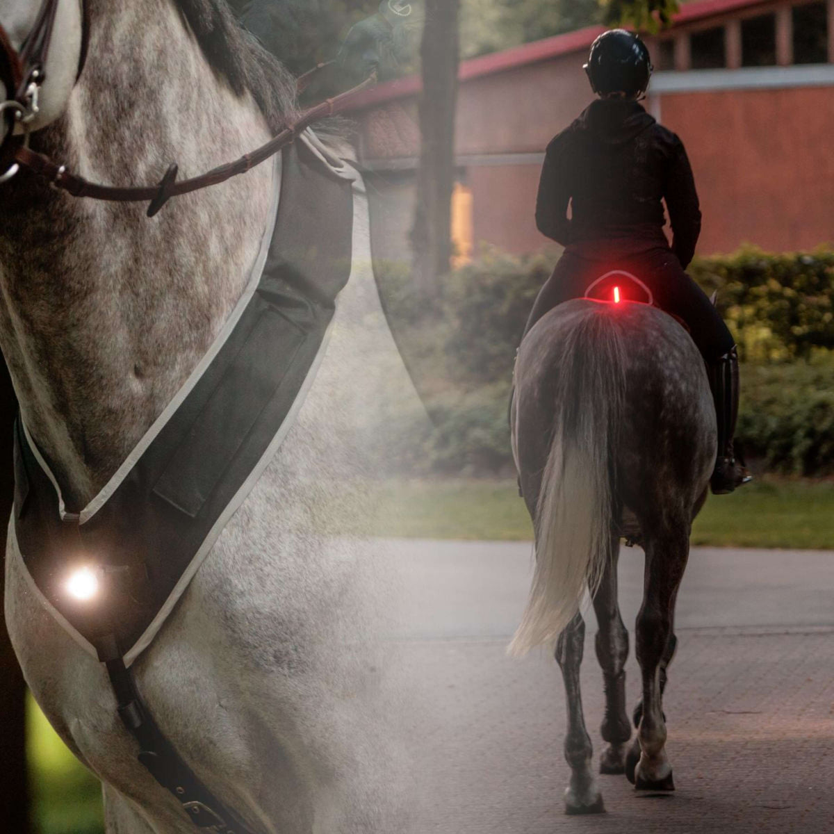 Kavalkade Borsttuig/Zadel Horselight Zwart/Grijs