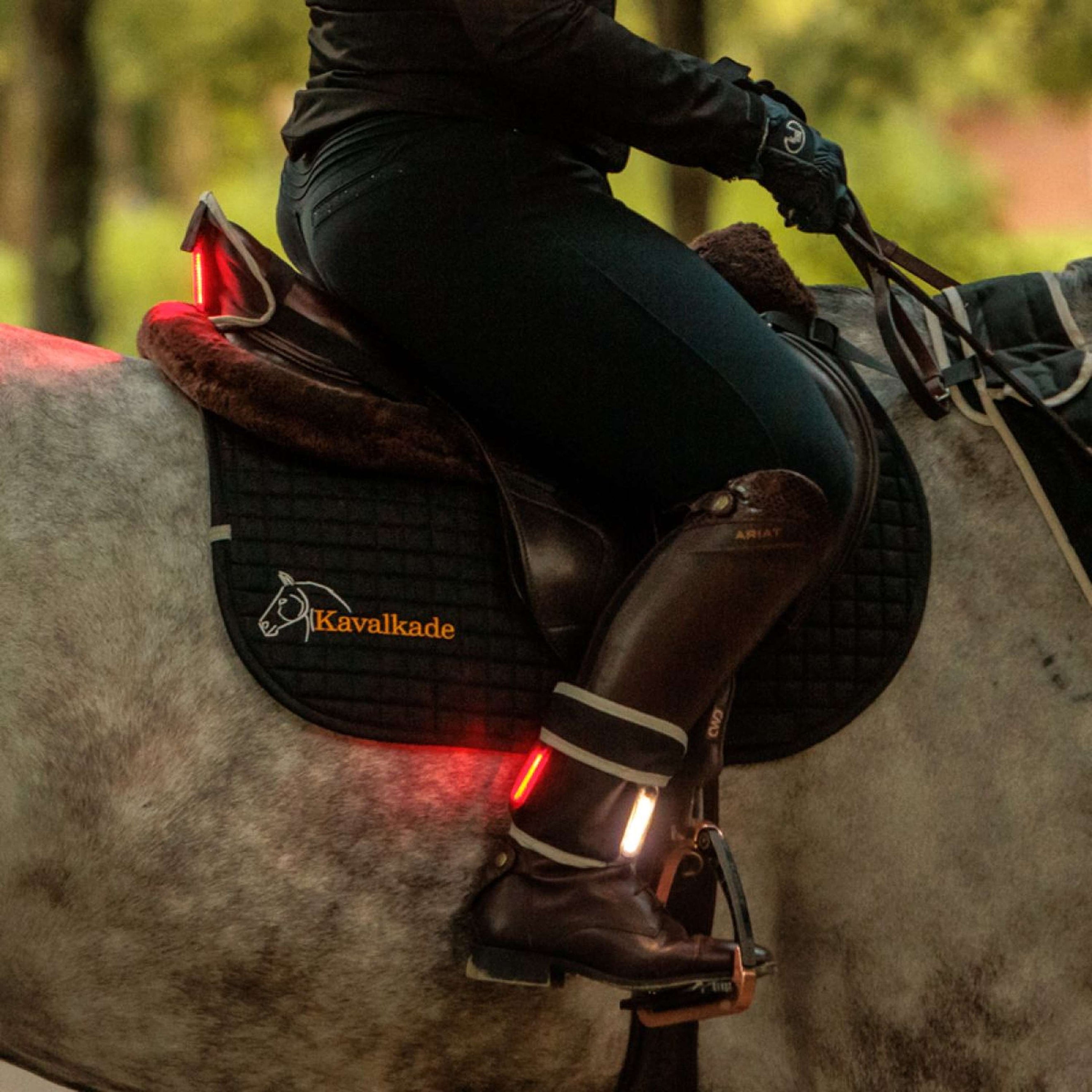 Kavalkade Borsttuig/Zadel/Been Horselight Zwart/Grijs