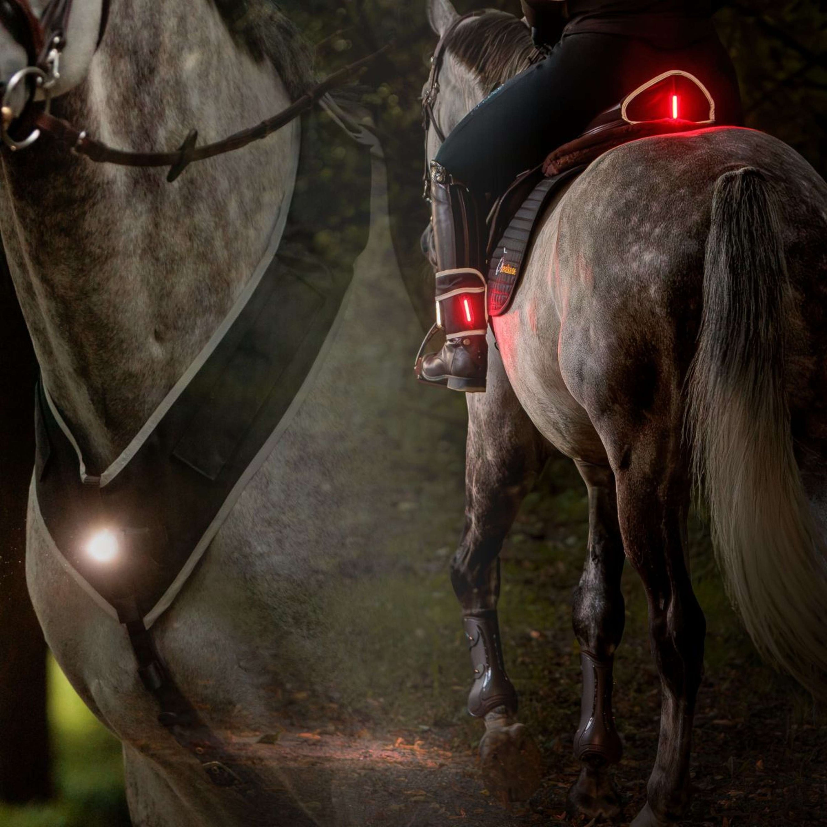 Kavalkade Borsttuig/Zadel/Been Horselight Zwart/Grijs