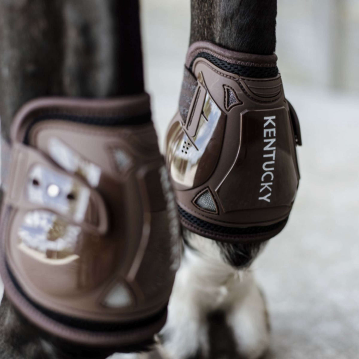 Kentucky Kogelbeschermers Moonboots Air Bruin