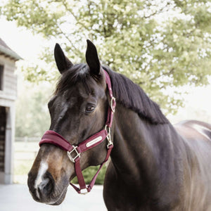 Kentucky Halster Velvet Bordeaux