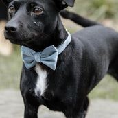 Kentucky Bow Tie Velvet Lichtblauw