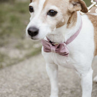 Kentucky Bow Tie Velvet Old Rose