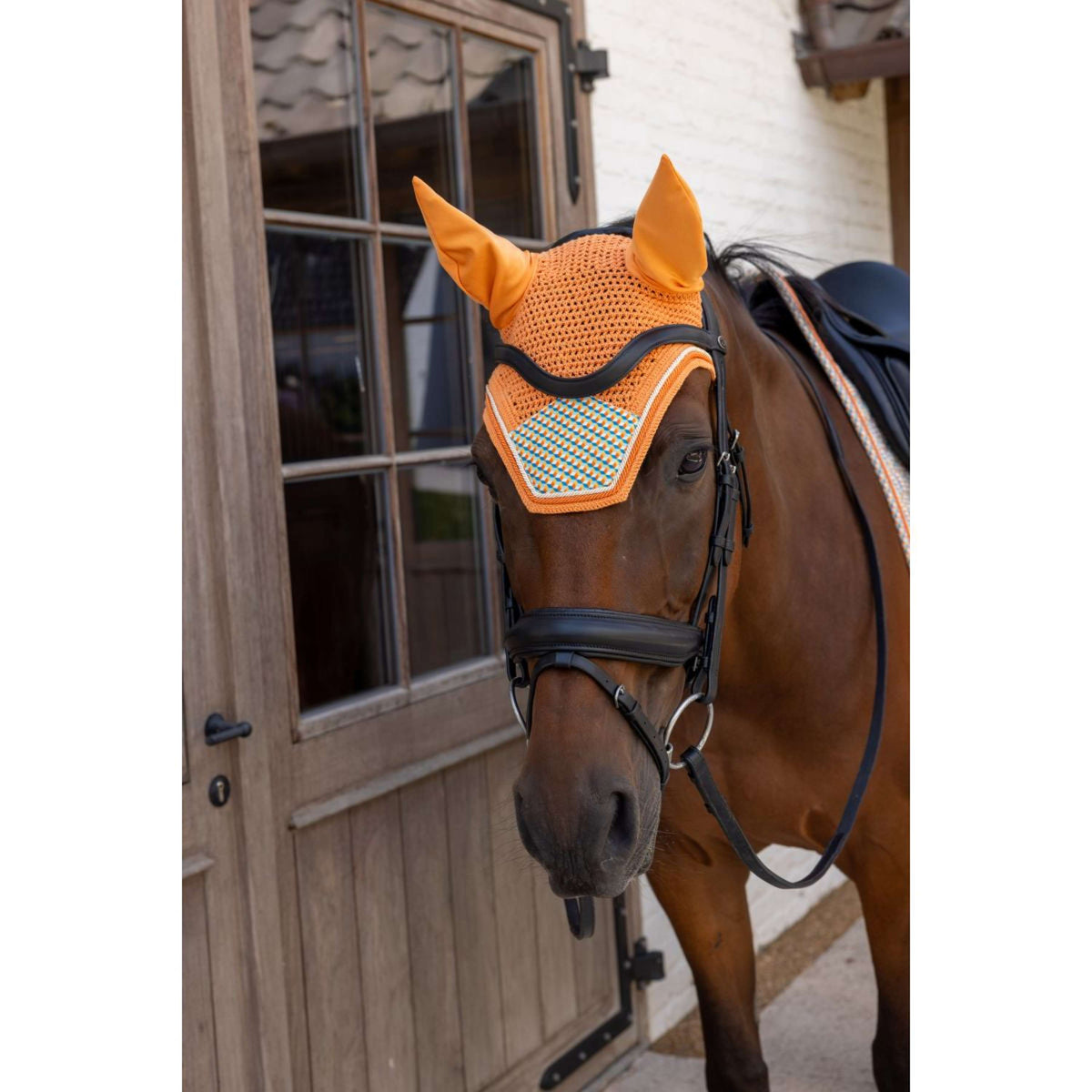 Kentucky Oornetje Wellington Velvet Cubes Multicolor