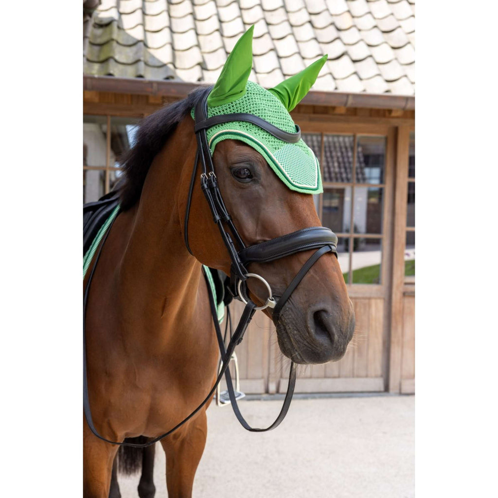 Kentucky Oornetje Wellington Velvet Chess Groen