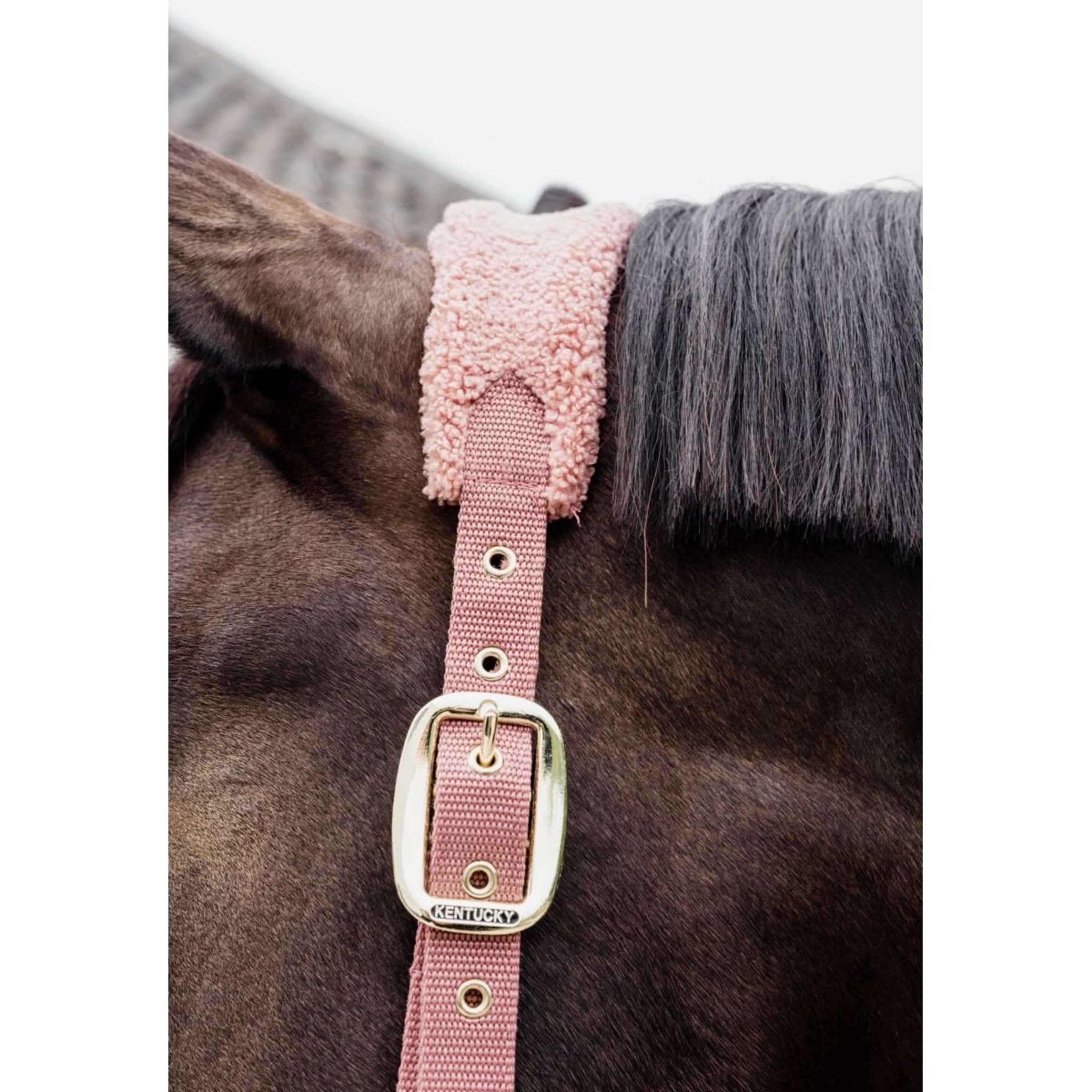 Kentucky Halster Teddy Fleece Oud Roze Kentucky Halster Teddy Fleece Oud Roze