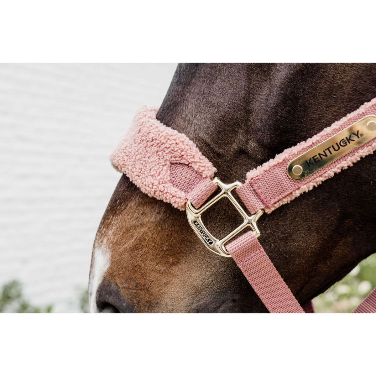 Kentucky Halster Teddy Fleece Oud Roze