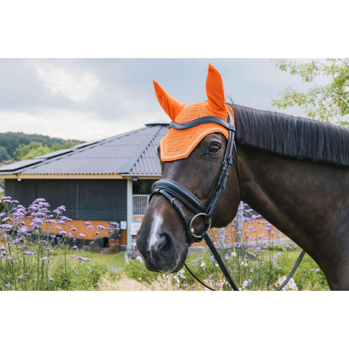 Kentucky Oornetje Wellington Diamanten koord Oranje