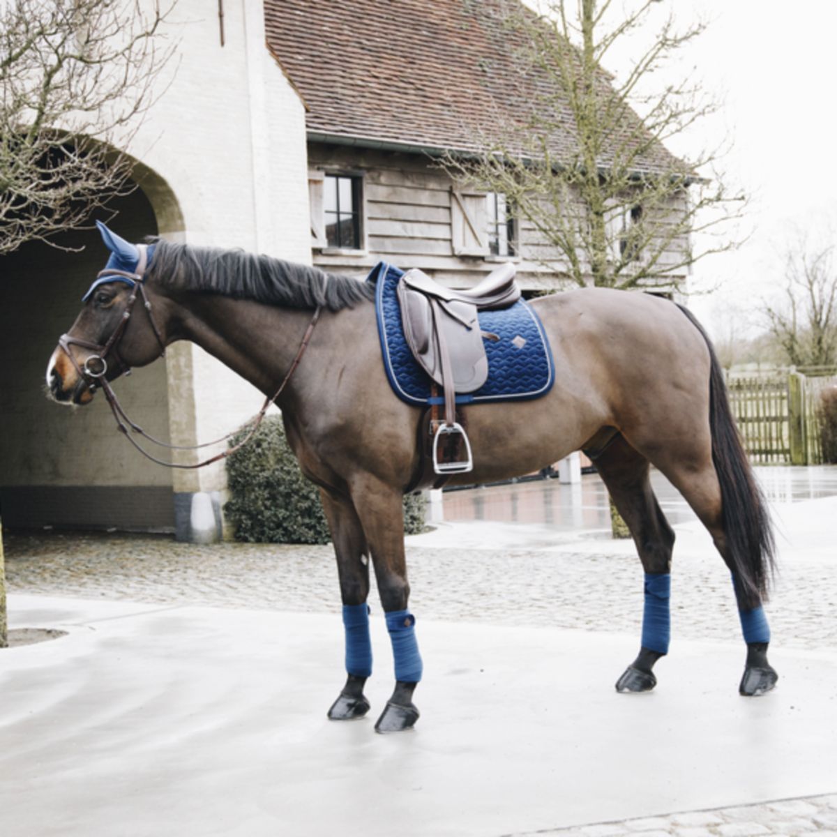 Kentucky Zadeldekje Basic Velvet Dressuur Navy