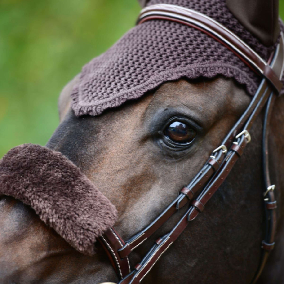 Kentucky Oornetje Soundless Brown