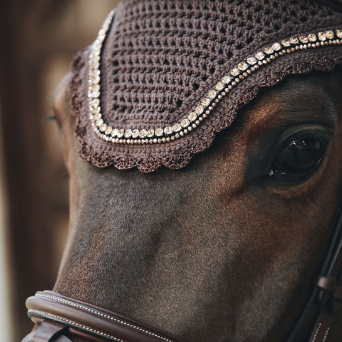 Kentucky Oornetje Wellington Stone & Pearl Soundless Brown