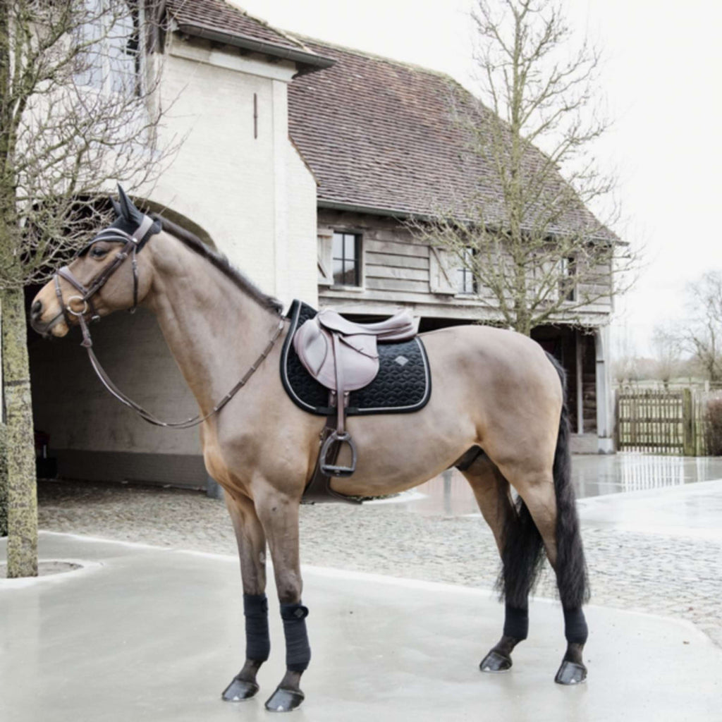 Kentucky Oornetje Wellington Basic Velvet Zwart