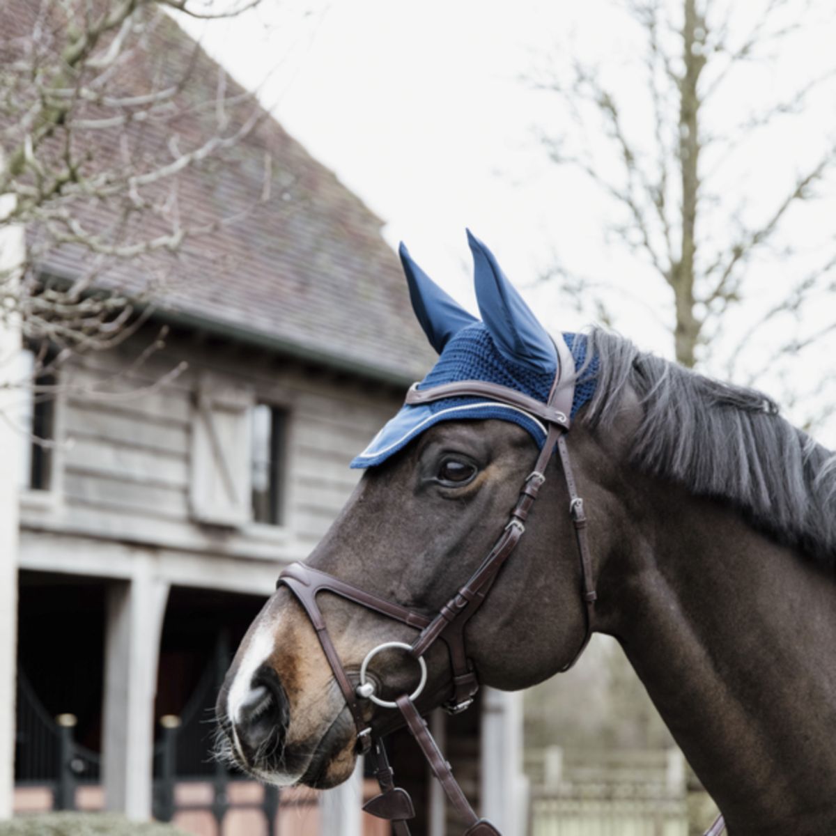 Kentucky Oornetje Wellington Basic Velvet Navy