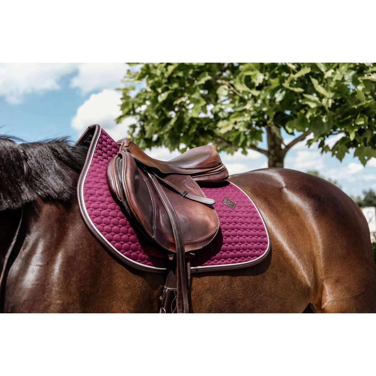 Kentucky Zadeldekje Springen Classic Leer Bordeaux