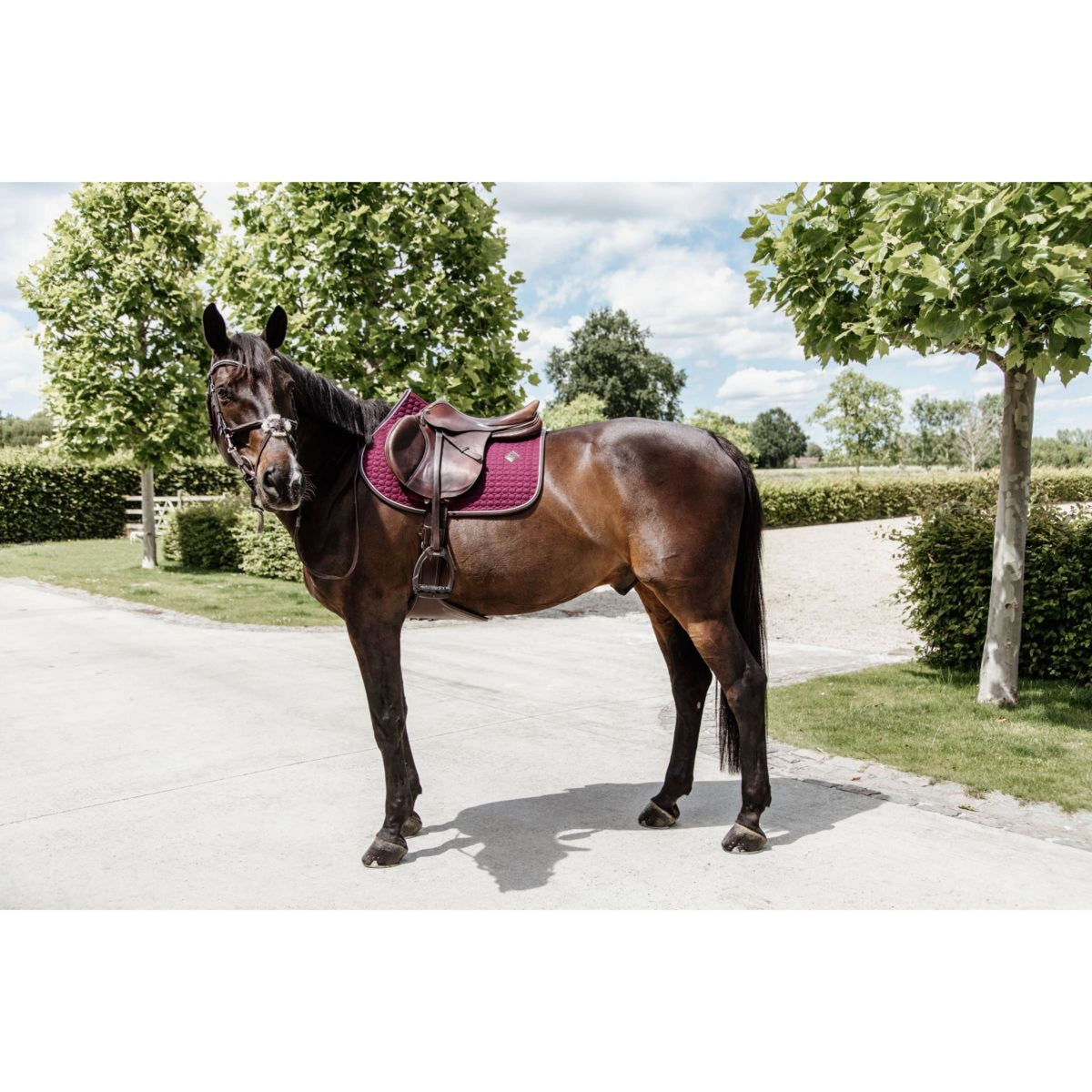 Kentucky Zadeldekje Springen Classic Leer Bordeaux