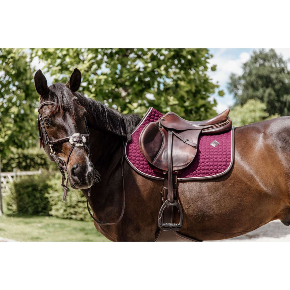 Kentucky Zadeldekje Springen Classic Leer Bordeaux