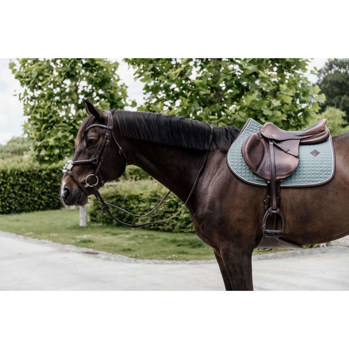 Kentucky Zadeldekje Springen Classic Leer Dusty Green