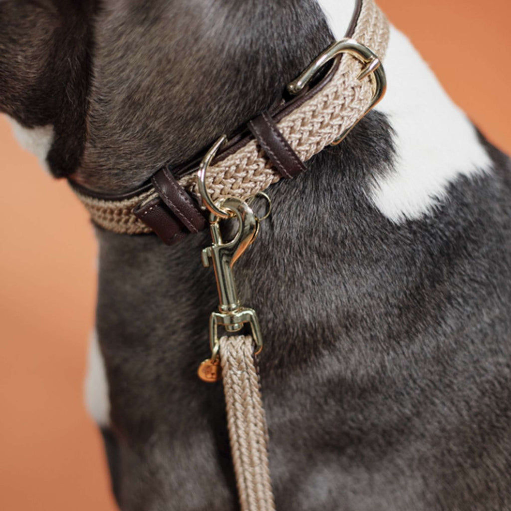 Kentucky Halsband Plaited Nylon Beige