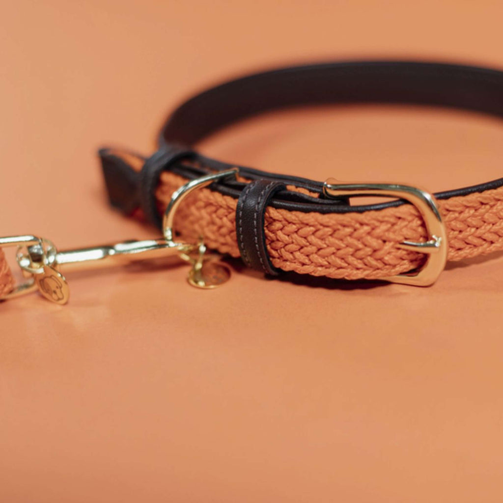 Kentucky Halsband Plaited Nylon Oranje
