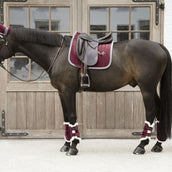 Kentucky Beenbeschermers Velvet Contrast Bordeaux