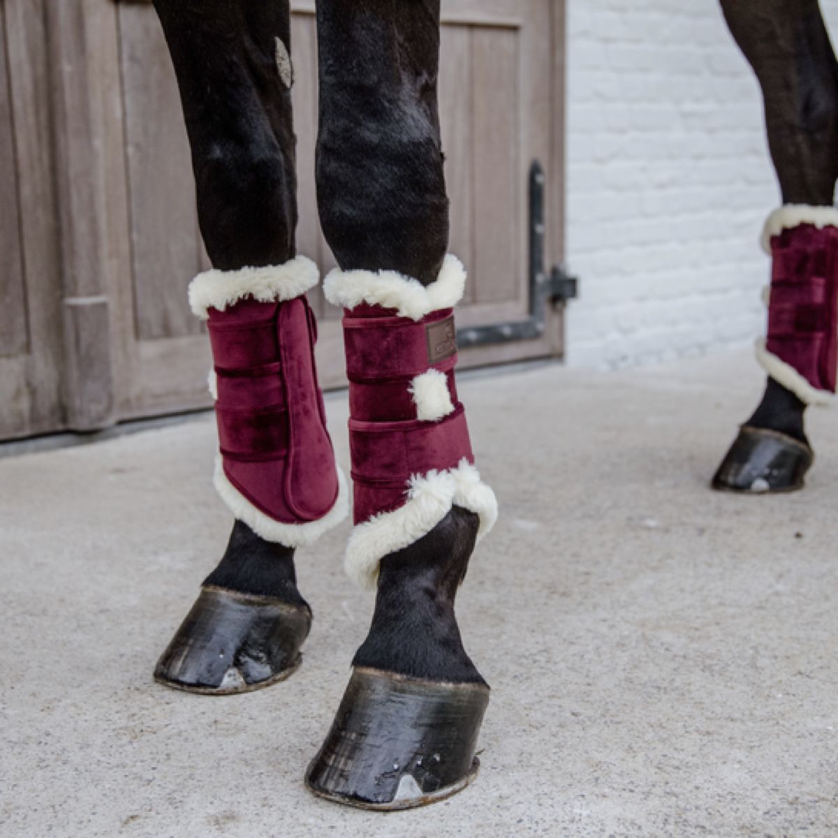 Kentucky Beenbeschermers Velvet Contrast Bordeaux