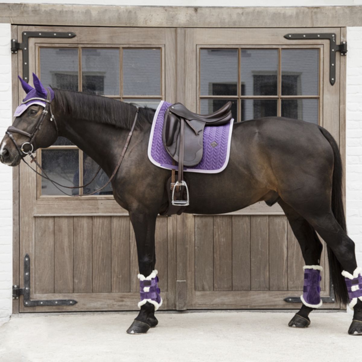 Kentucky Beenbeschermers Velvet Contrast Royal Purple