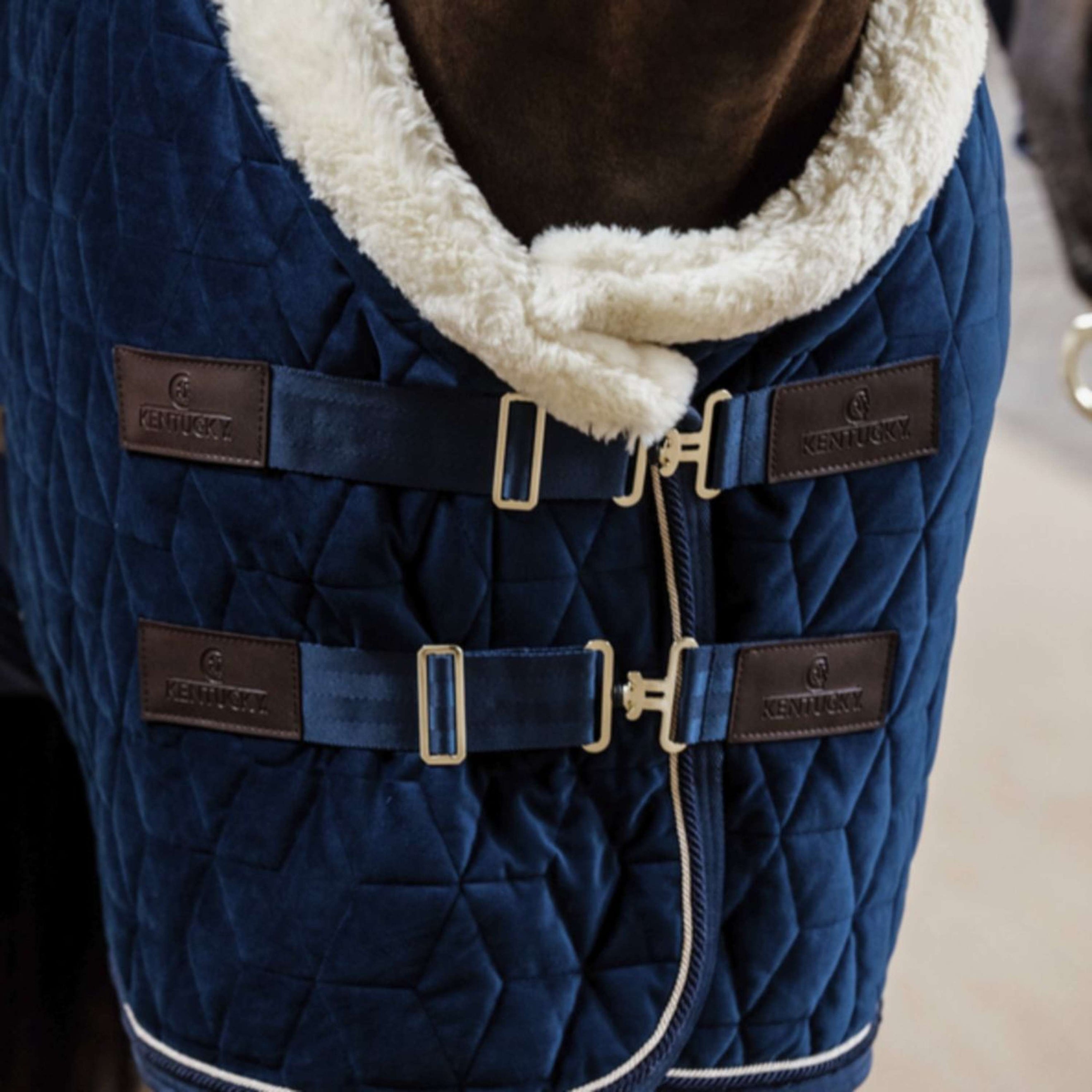 Kentucky Showdeken Velvet 160g Navy Kentucky Showdeken Velvet 160g Navy