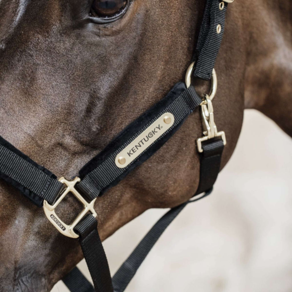 Kentucky Halster Velvet Zwart