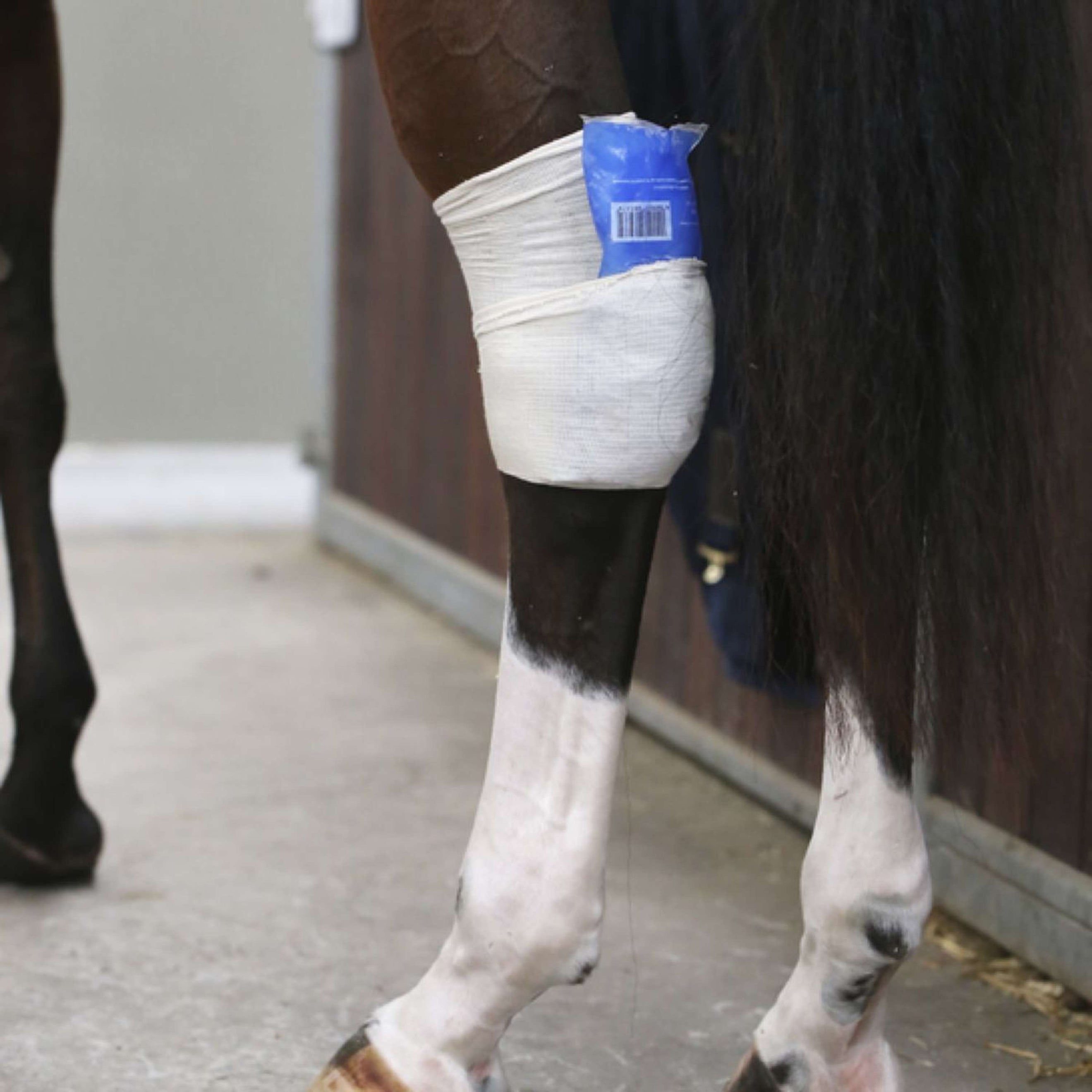 Kentucky Kous Tendon Grip Beige Kentucky Kous Tendon Grip Beige